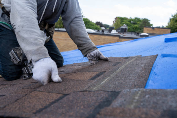 Best Roof Repair Services  in Clearlake Oaks, CA